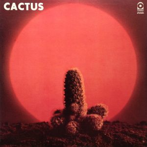 Cactus : Cactus