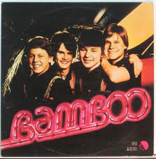 Bamboo : Bamboo