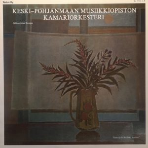 Keski-Pohjanmaan Musiikkiopiston Kamariorkesteri : Iltakaijulta koriasti kuuluu