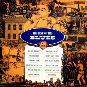Various : The Best of Blues