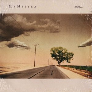 Mr. Mister : Go on...