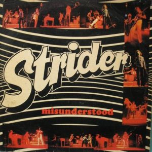 Strider : Misunderstood