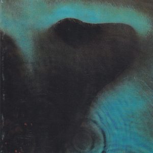 Pink Floyd : Meddle
