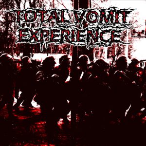 Total Vomit Experience / Kashmar : Split