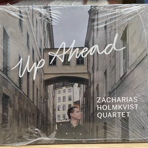 Zacharias Holmkvist : Up Ahead