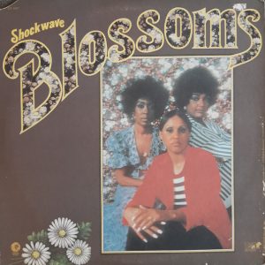 The Blossoms : Shockwave