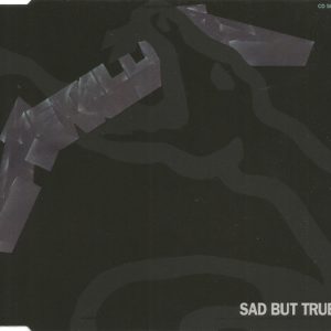 Metallica : Sad But True