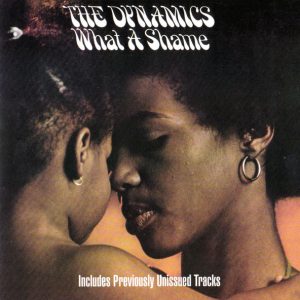 The Dynamics : What A Shame