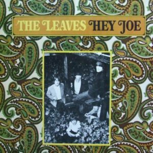 The Leaves : Hey Joe