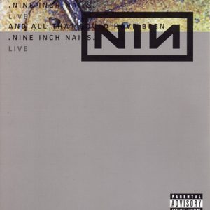 Nine Inch Nails : And All That Could Have Been: Live