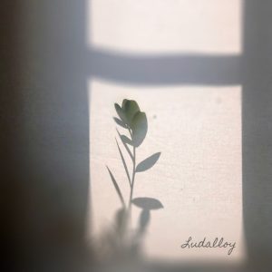 Ludalloy : Lumenari