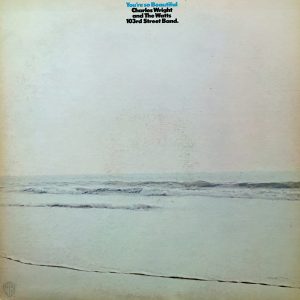 Charles Wright And The Watts 103rd Street Band : You're So Beautiful