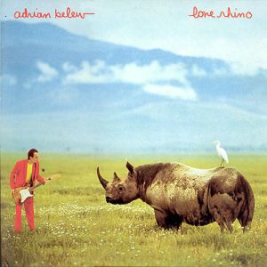 Adrian Belew : Lone Rhino