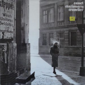 Camel : Stationary Traveller